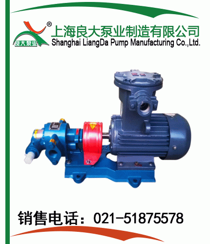 2CY齒輪式潤(rùn)滑泵